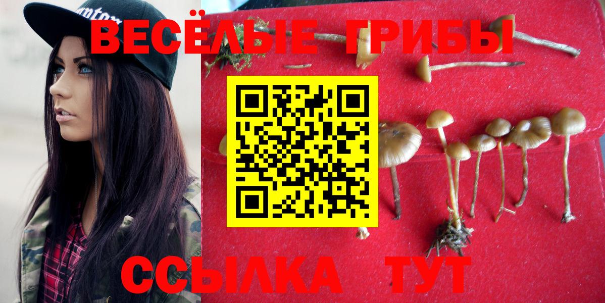 Петрозаводск  хочу наркоту  Вход с VPN  Галлюциногенные грибы прущие грибы 