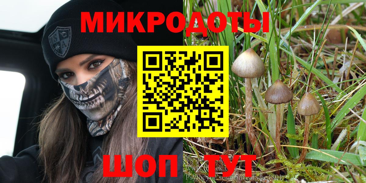 Псилоцибиновые грибы ЛСД Петрозаводск